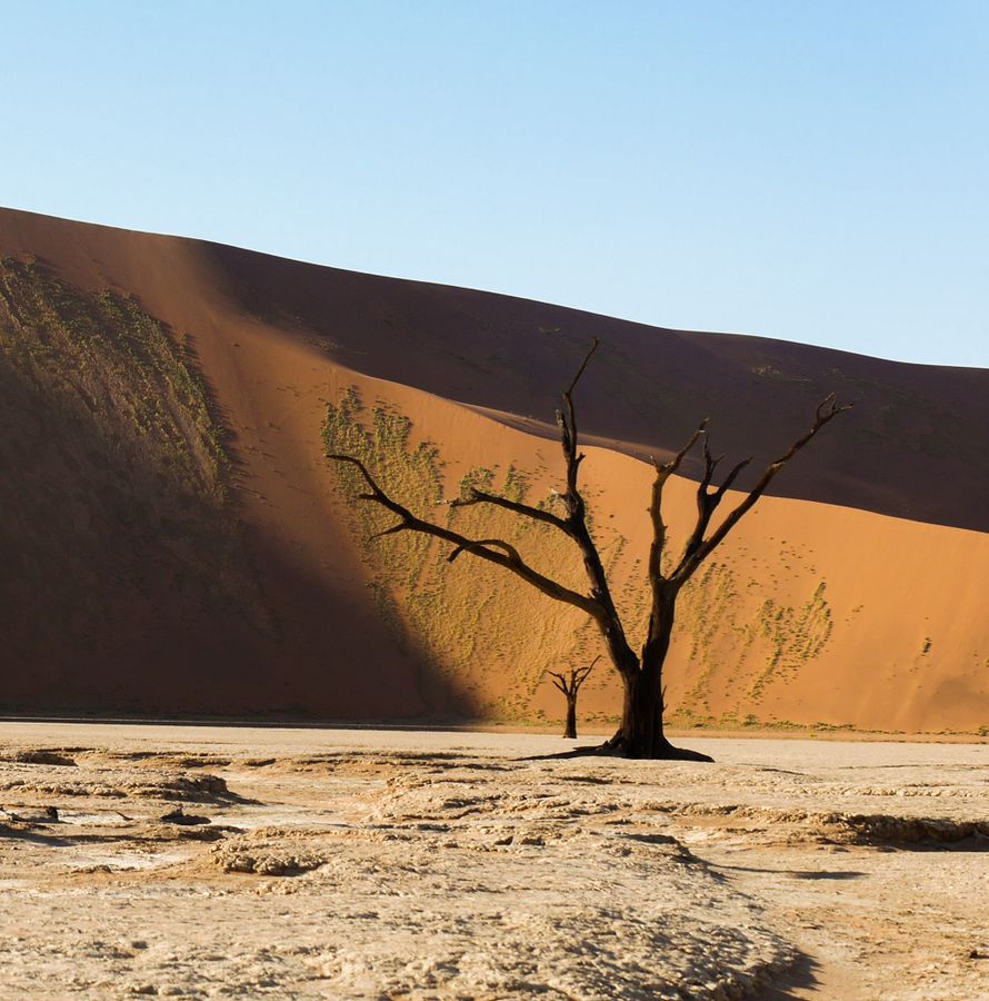 Tourguide Namibia: Dead Vlei 